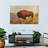 Wild Bison On The Field-440172410