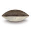 Silvio Throw Pillow