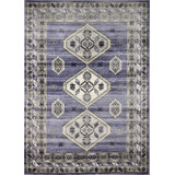 Medinger Southwestern Indoor Rug