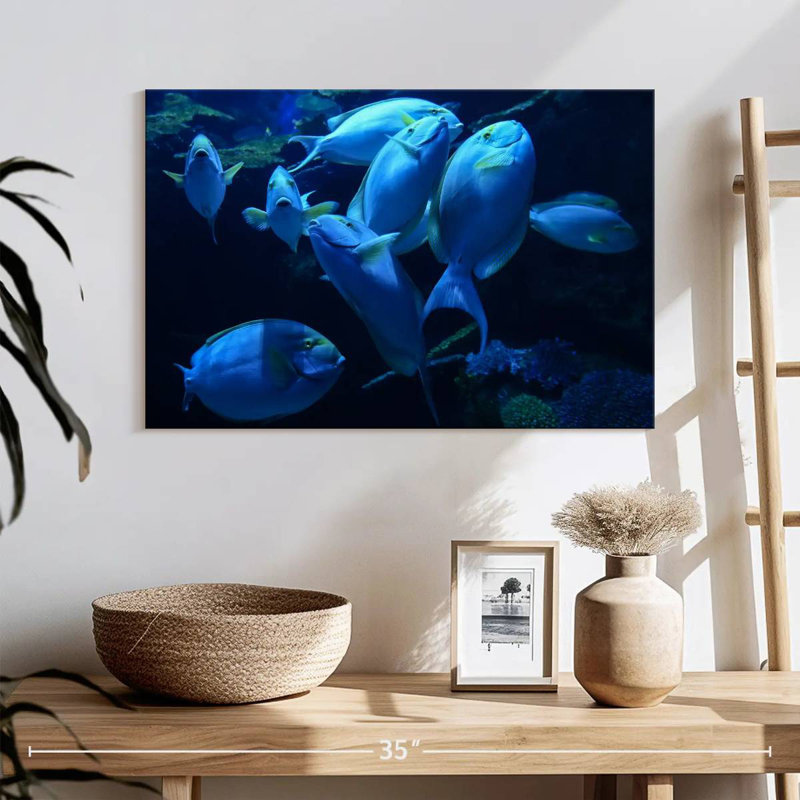 Brampt Underwater Yellowfin Surgeonfish, 16" H x 24" W