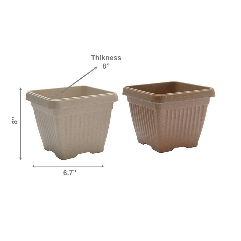 8" Pienza Square Planter Eco-Friendly Asstd - Set Of 2