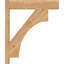 Sapin Douglas-109329454-113998552