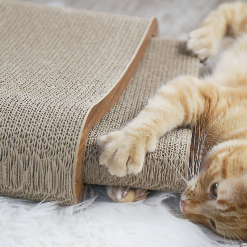 Scroggins Scratching Post