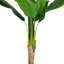 20 plantes