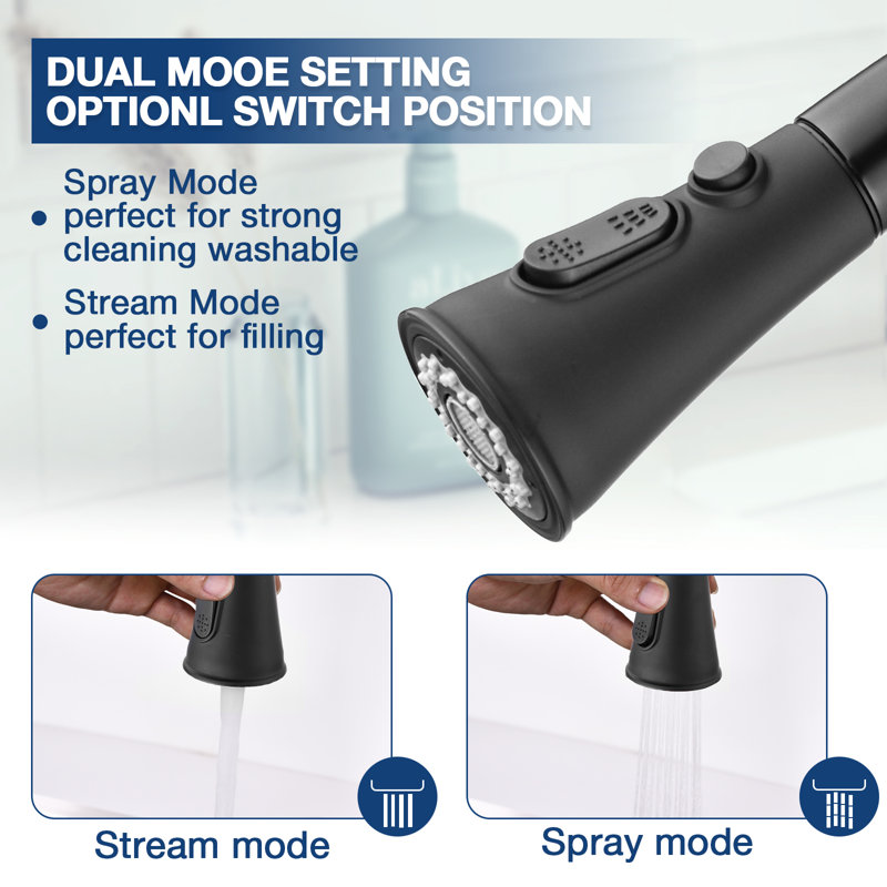 Single Handle Kitchen Faucet with Pull Down Sprayer 2 Spray Modes, Matte Black, Without Soap Dispenser