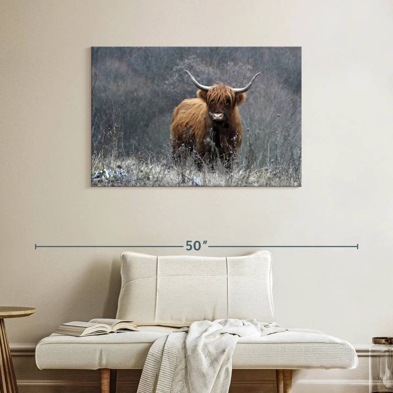 Vache Highland Brampt, H 26 po x l 39 po