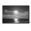 Arazeli prenant son envol - reproduction sur toile tendue-781457354