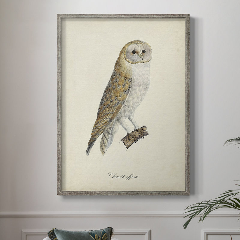«French Owls VI», reproduction encadrée - bois massif