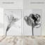 Peeking Flowers Set Set by Oliver Gal-1060062556-1060062558