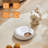 iPettie Donuts Frost WiFi Automatic Cat Food Dispenser with App Control(Only support 2.4GHz Wi-Fi)