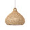 Lechlan 1 Light Pendant