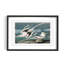 Nature Inspired Tropic Bird From Birds Of America (1827)-8480996