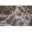 One-of-a-Kind Hand-Knotted High-Quality Ivory/Red/Brown Area Rug