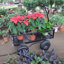 Wagon Cart Garden cart trucks make it easier to transport firewood TC1840BKG