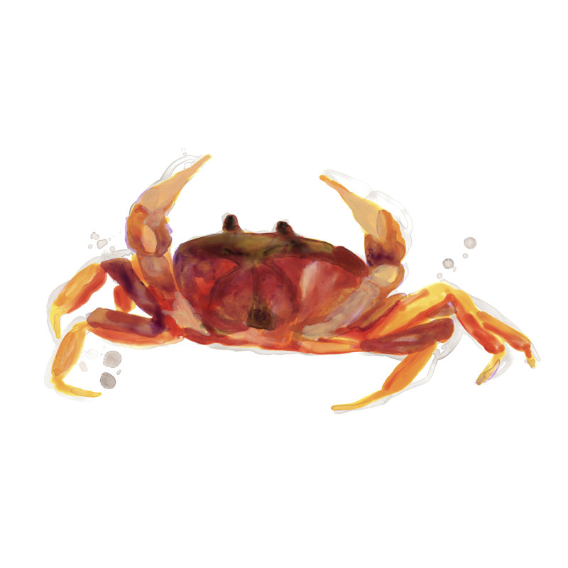 Crab Cameo III by June Erica Vess - Painting on Canvas, 20 cm H x 30 cm W, Wrapped Canvas