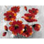 Fleurs d'anémone sur toile