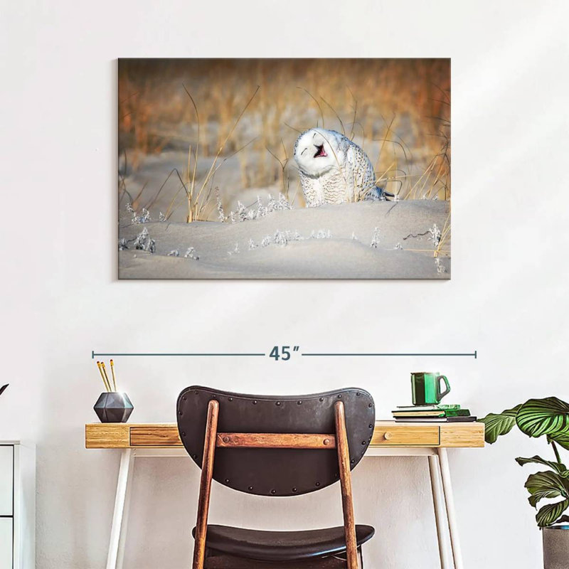 Brampt Funny Snowy Owl, 26" H x 39" W