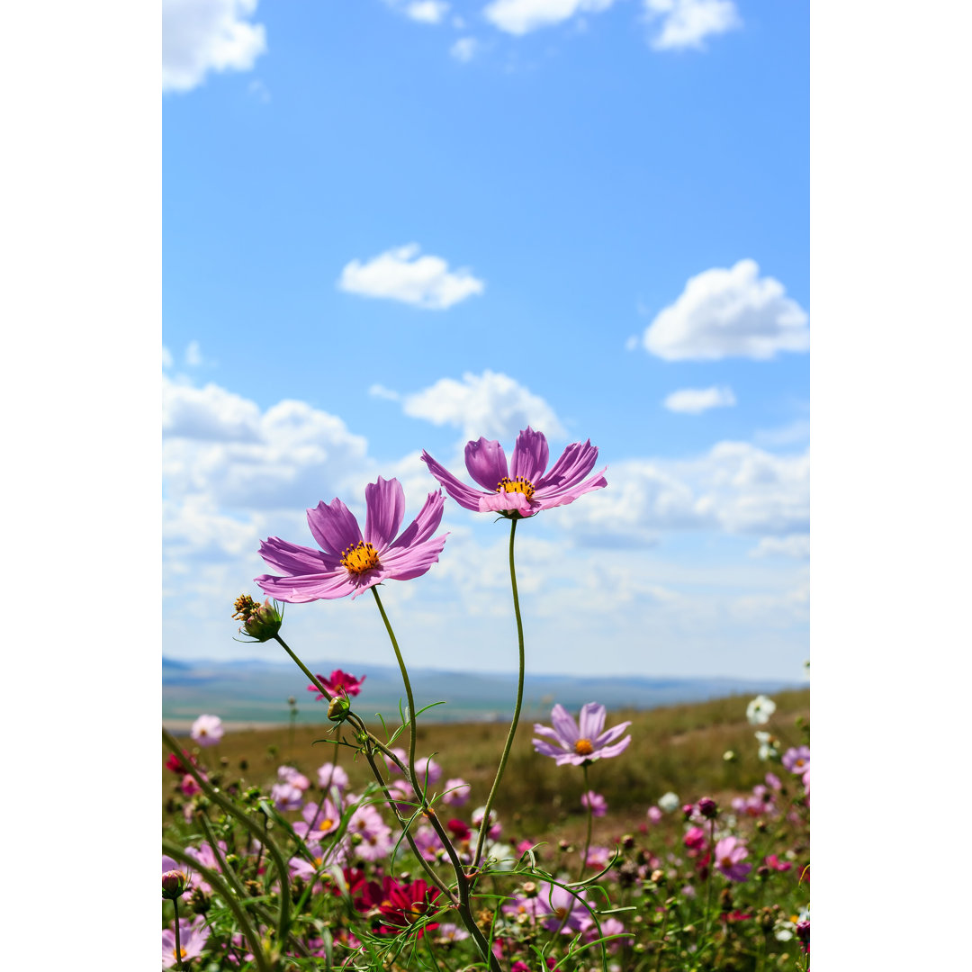 Blume des Glücks - Leinwandbild