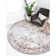 Glasser Oriental Indoor Rug