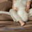 PHF Soft Waffle Comforter Set, Comfy Breathable Lightweight Textured Waffle Weave Comforter Bedding Set-124231523-124231526