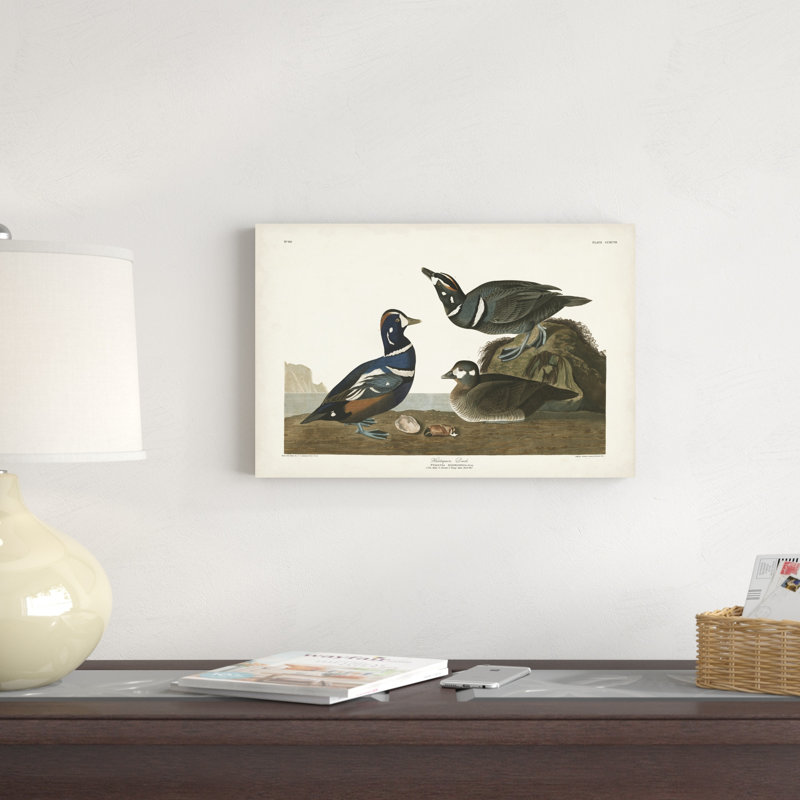 Pl 297 canard arlequin, H 12 po x l 18 po