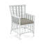 Bridgehampton Arm Chair-49956627-86463045