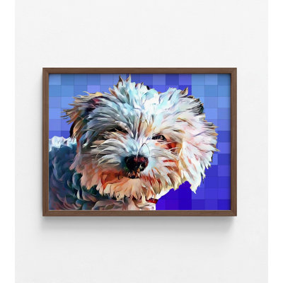 «Alay Coton De Tulear», reproduction de coton