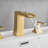 2-handle Bathroom Faucet with Drain Assembly-98175131