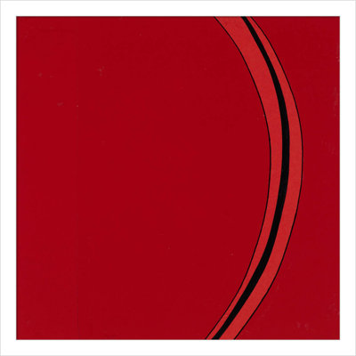 Segment Print by Alex Dunn