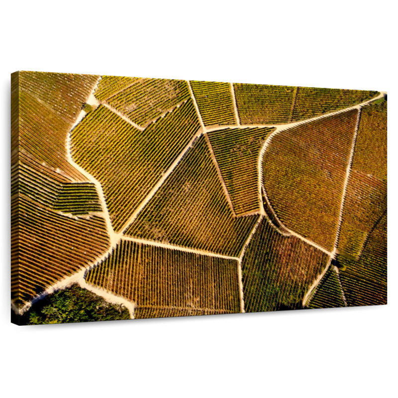 Alvord Barolo Vineyard