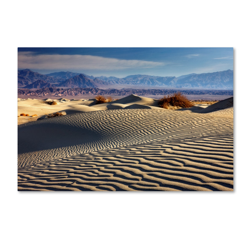Alexan, «Mort Valley Mesquite Dunes», reproduction de photo sur toile tendue, H 12 po x l 19 po