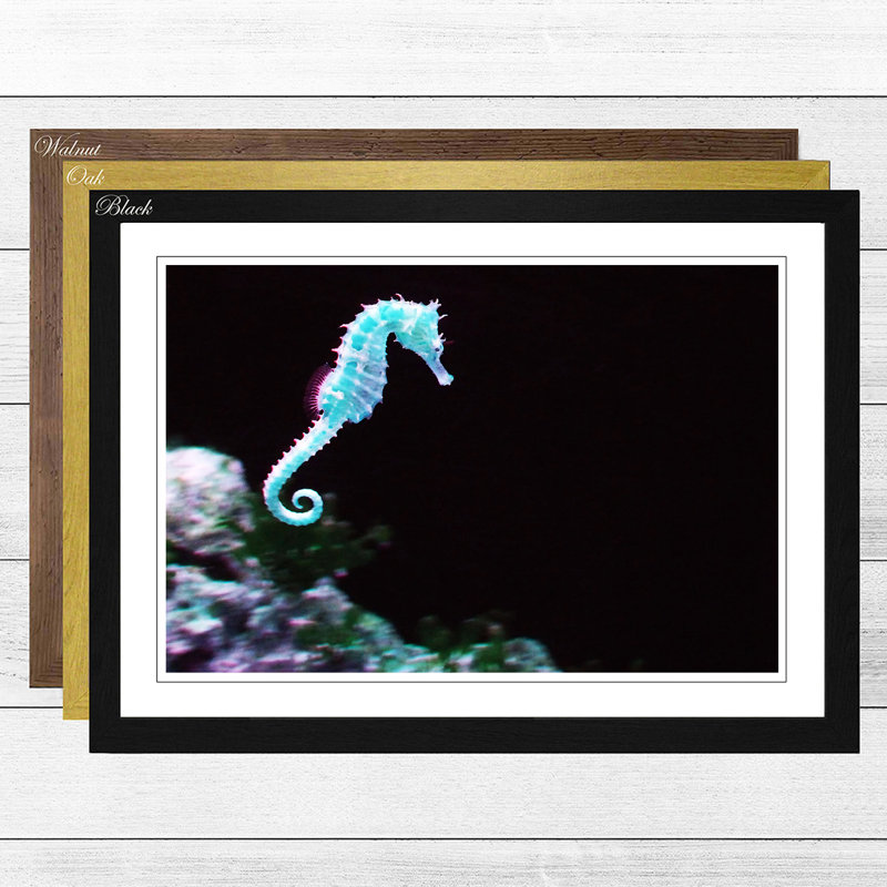 Seahorse Framed Photographic - Framed Print, Walnut