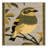 Washable European Greenfinch Birds Area Rug-38936955