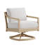 Swivel Chair-257469556