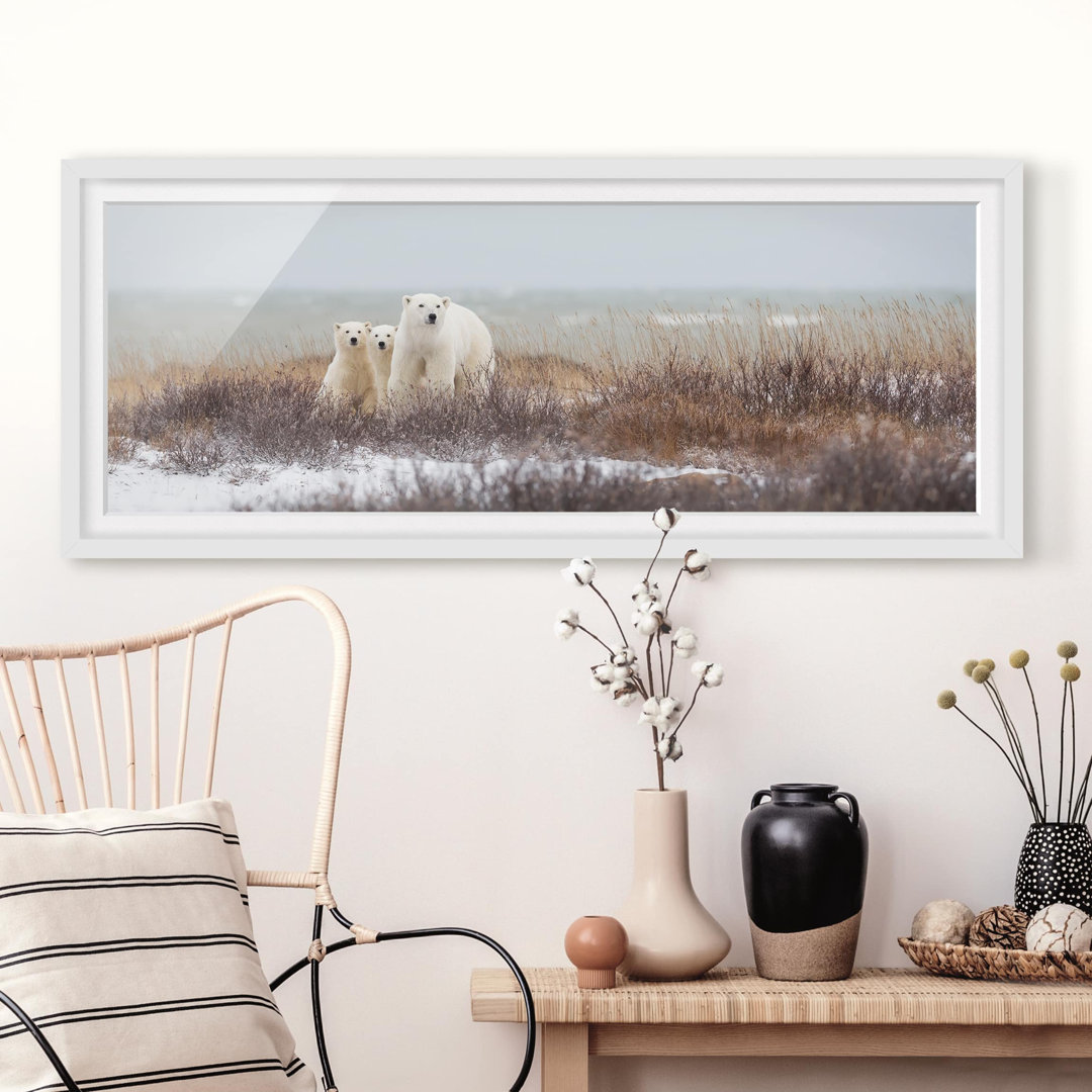 Gerahmter Fotodruck Polar Bear and Her Cubs