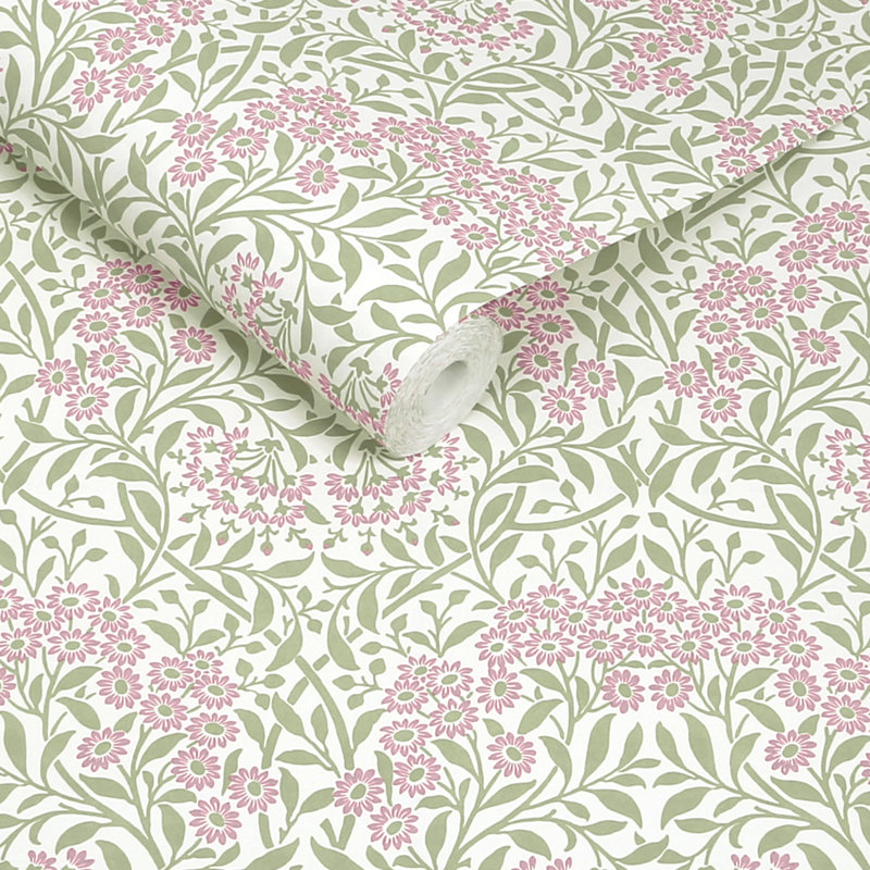  Michaelmas Daisy Pink Cedar Wallpaper