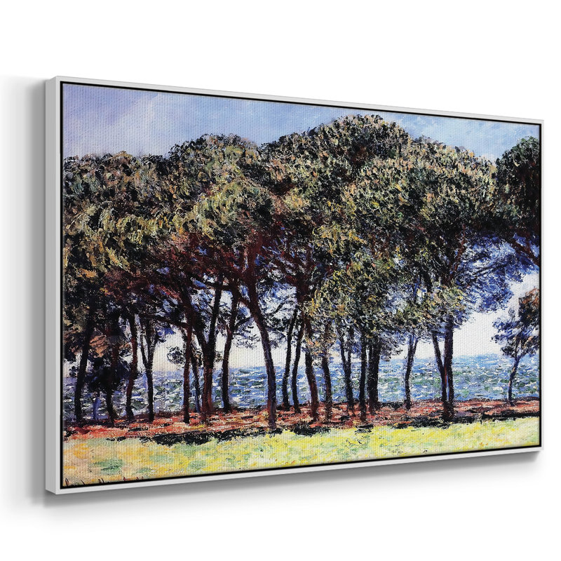 Pins, Cap d'Antibes, 1888, Blanc, H 17 po x l 25 po x P 2 po