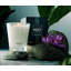 Forest Rain Votive Candle-577245841