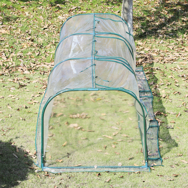 Juno Ridge 11.5 Ft W x 3.5 Ft D Mini Greenhouse