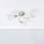 Colgin Glass Semi Flush Mount-8977678-8977676