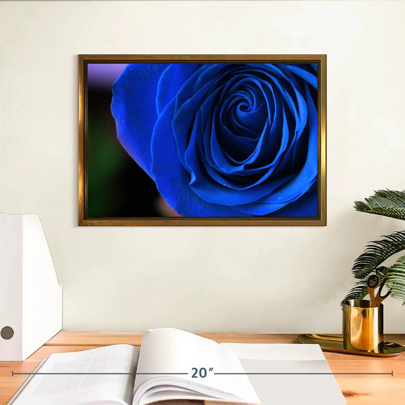 Bleu rose arbuste, Cadre flottant doré, 13 po x 9 po