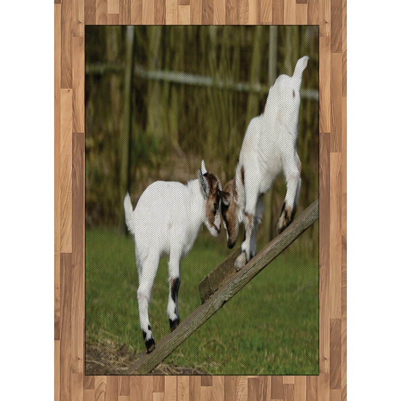 Animal High Density Long Fiber Poly Threads Decorative Area Rug Carpet, Rectangle 4' x 5'8"
