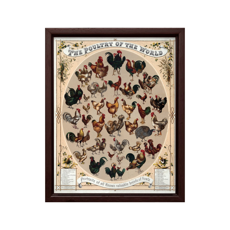 Volaille du monde, 08"H x 10"W, Canvas, Brown Framed