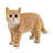 Purkey Cat No Additional Durability Resin Garden Statue
