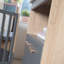 Anna Changing Table Dresser