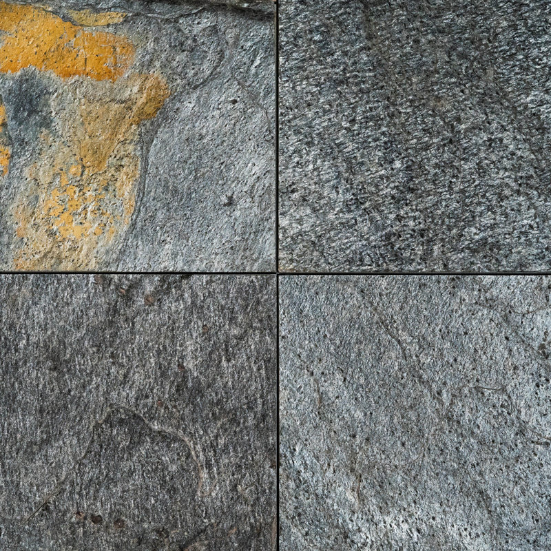 Carreau de mur et de plancher en pierre ardoise d'autruche 12 po x 12 po Ostrich