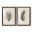 Palm Botanical I - Ensemble de 2 reproductions d'art-100410947-100410953-100410945
