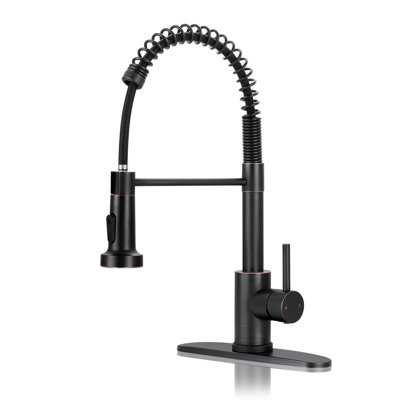 Kitchen Faucets with Pull Down Sprayer
