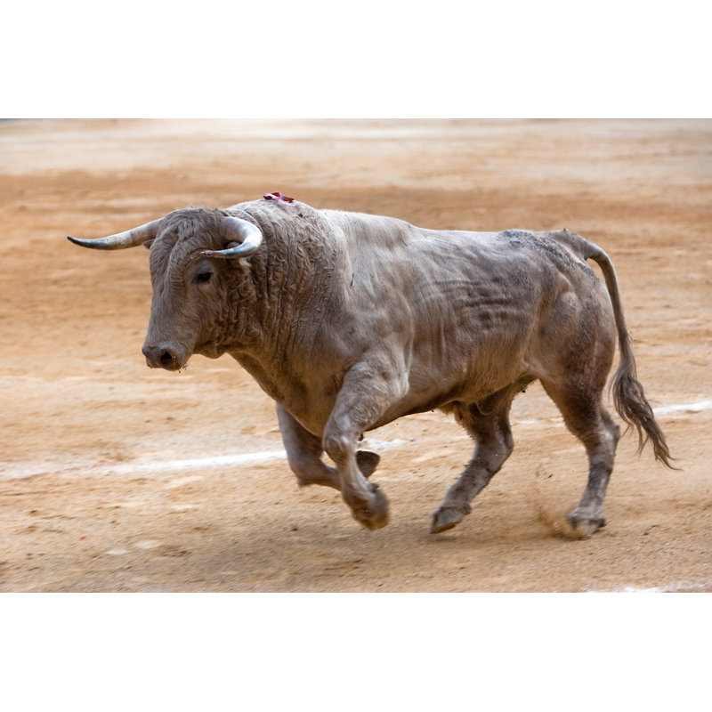 Brave Bull in a Bullfight, Spain 1 Piece Wrapped Canvas Wall Art, 60.96cm H x 91.44cm W