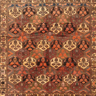 Indoor Rug